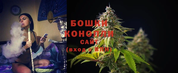 ECSTASY Бородино