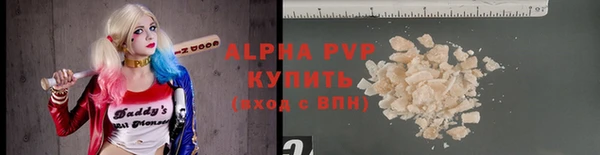 ECSTASY Бородино