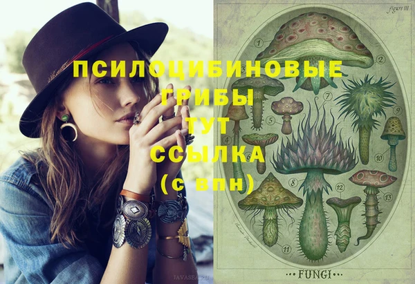 кокаин премиум Богданович