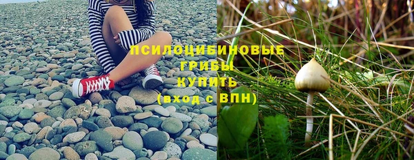 кокаин премиум Богданович