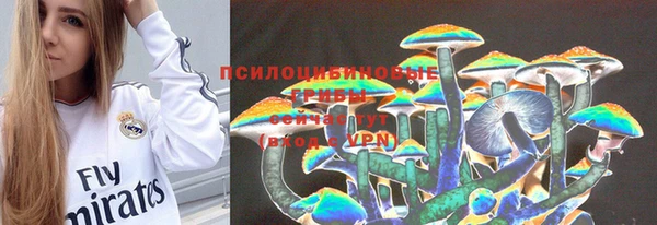 бошки Сатка