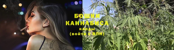 ECSTASY Бородино