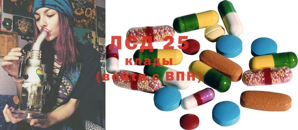 ECSTASY Бородино