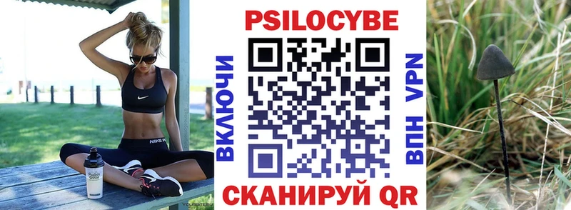 kraken вход  Топки  Галлюциногенные грибы мухоморы 